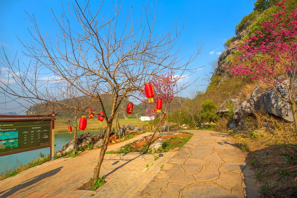 2025-04-17云南普者黑三生三世十里桃花（一）