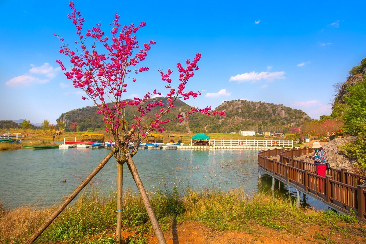 2025-04-17云南普者黑三生三世十里桃花（一）