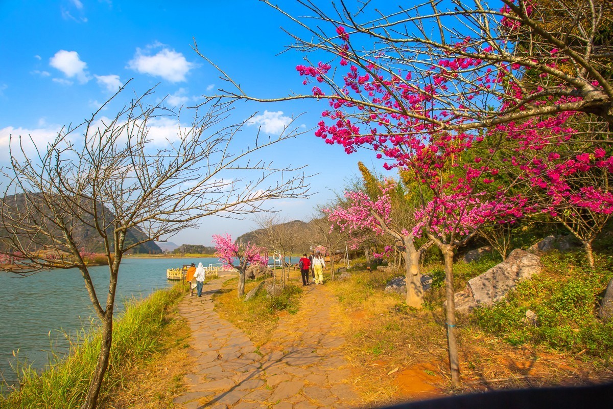 2025-04-17云南普者黑三生三世十里桃花（一）
