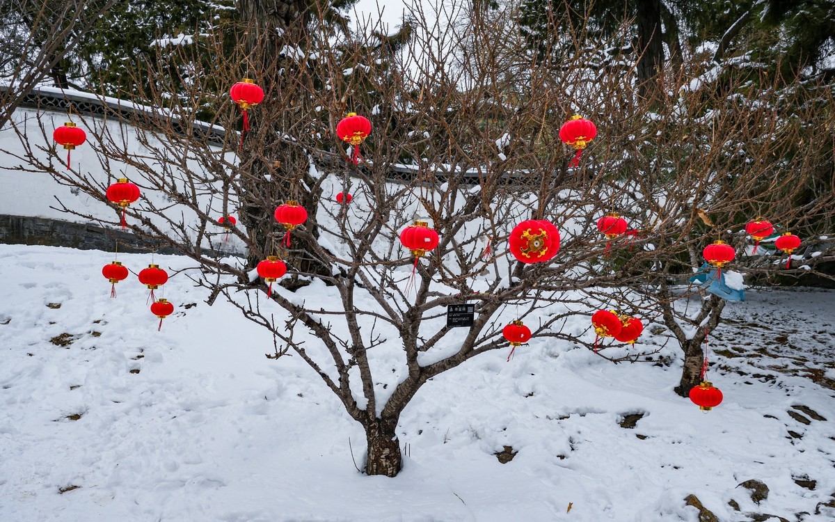 雪后的京城20240221 《103》