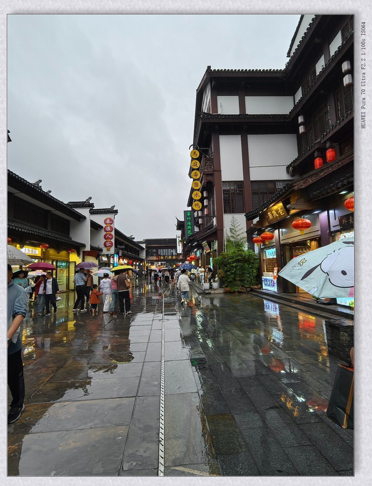 端午。秦淮人家【乙巳年-152】