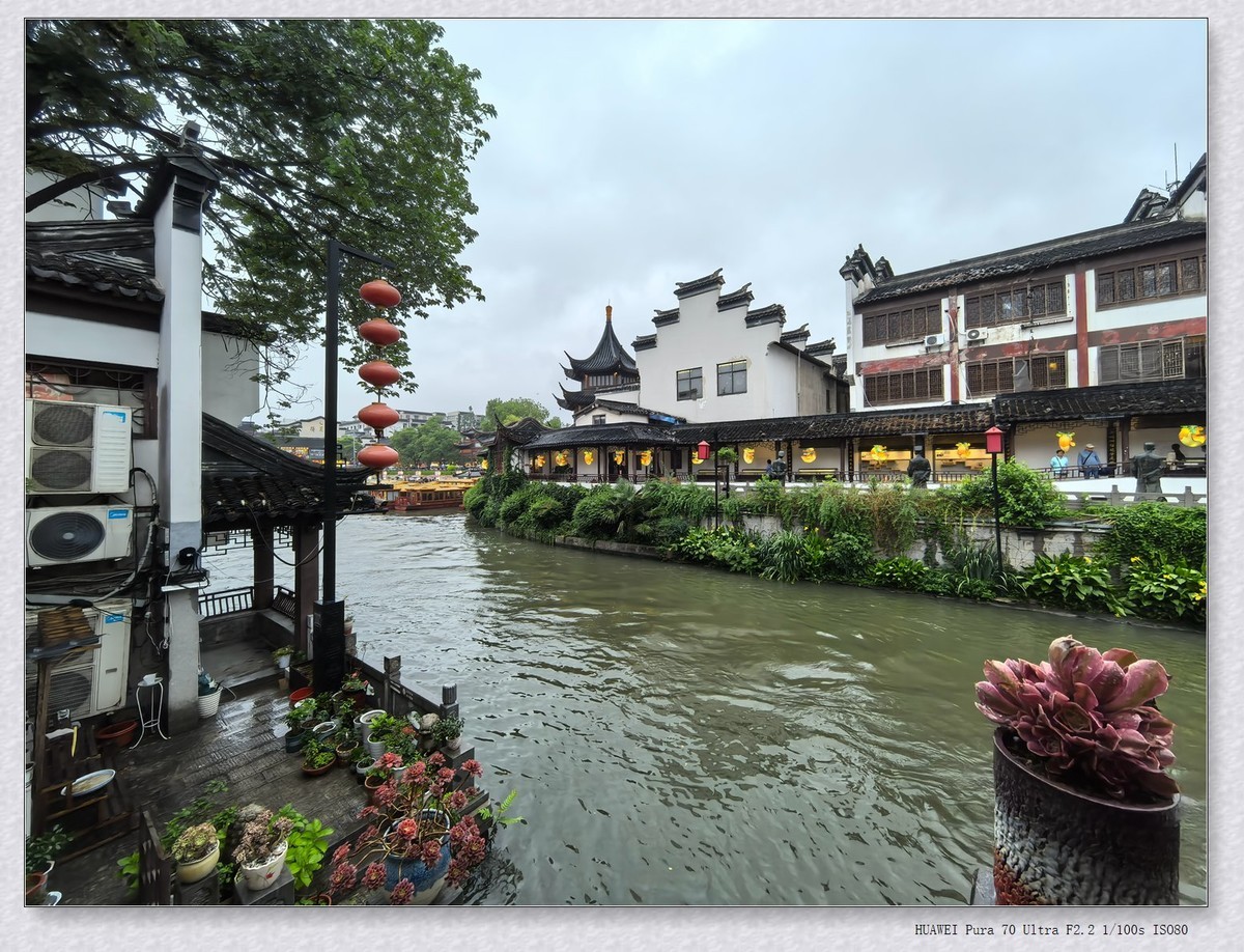 端午。秦淮人家【乙巳年-152】