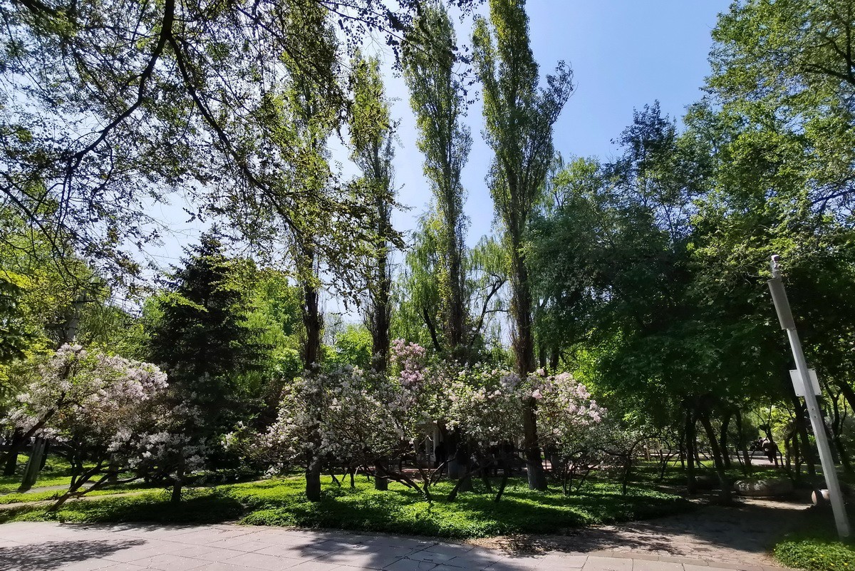黛秀闲遊