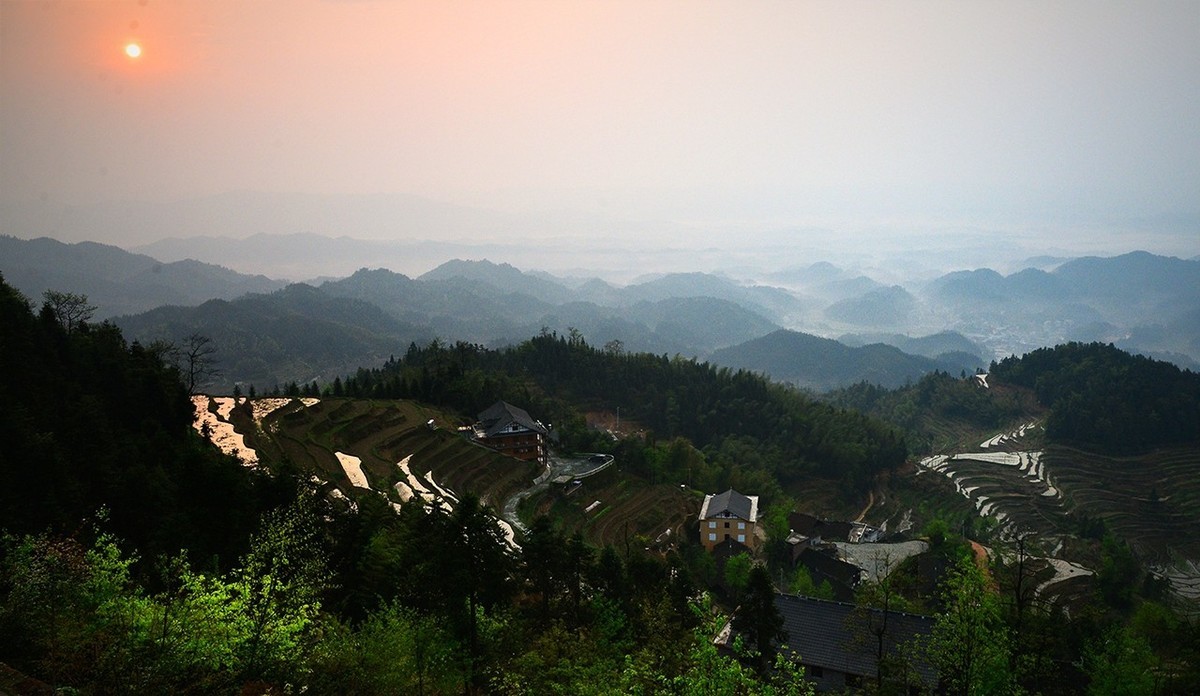 紫  鹊  界  梯  田