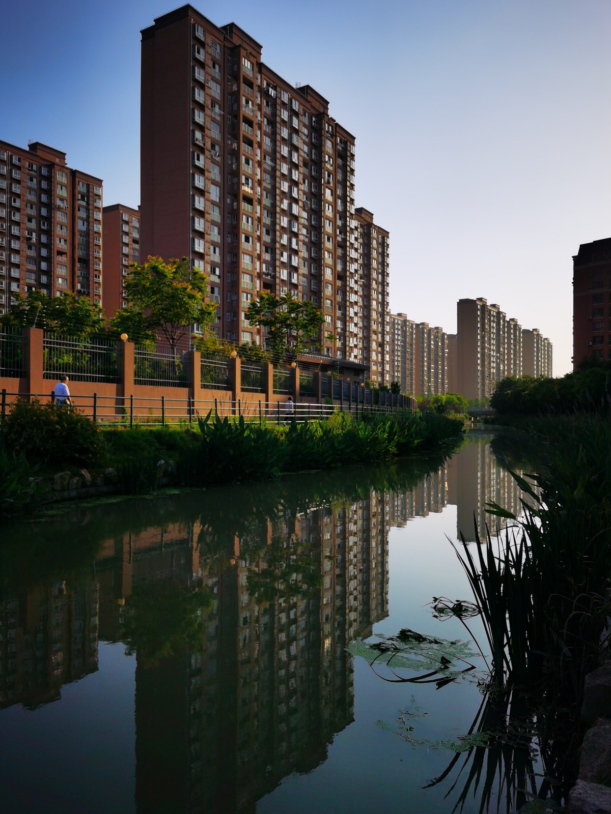走出小区，感受夏日的晨光