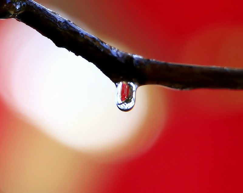 697【不老松：海南游摄纪实】临高长島兰湾：初拍水滴！不成样子！(没有微距镜头及必须