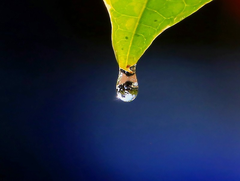 697【不老松：海南游摄纪实】临高长島兰湾：初拍水滴！不成样子！(没有微距镜头及必须