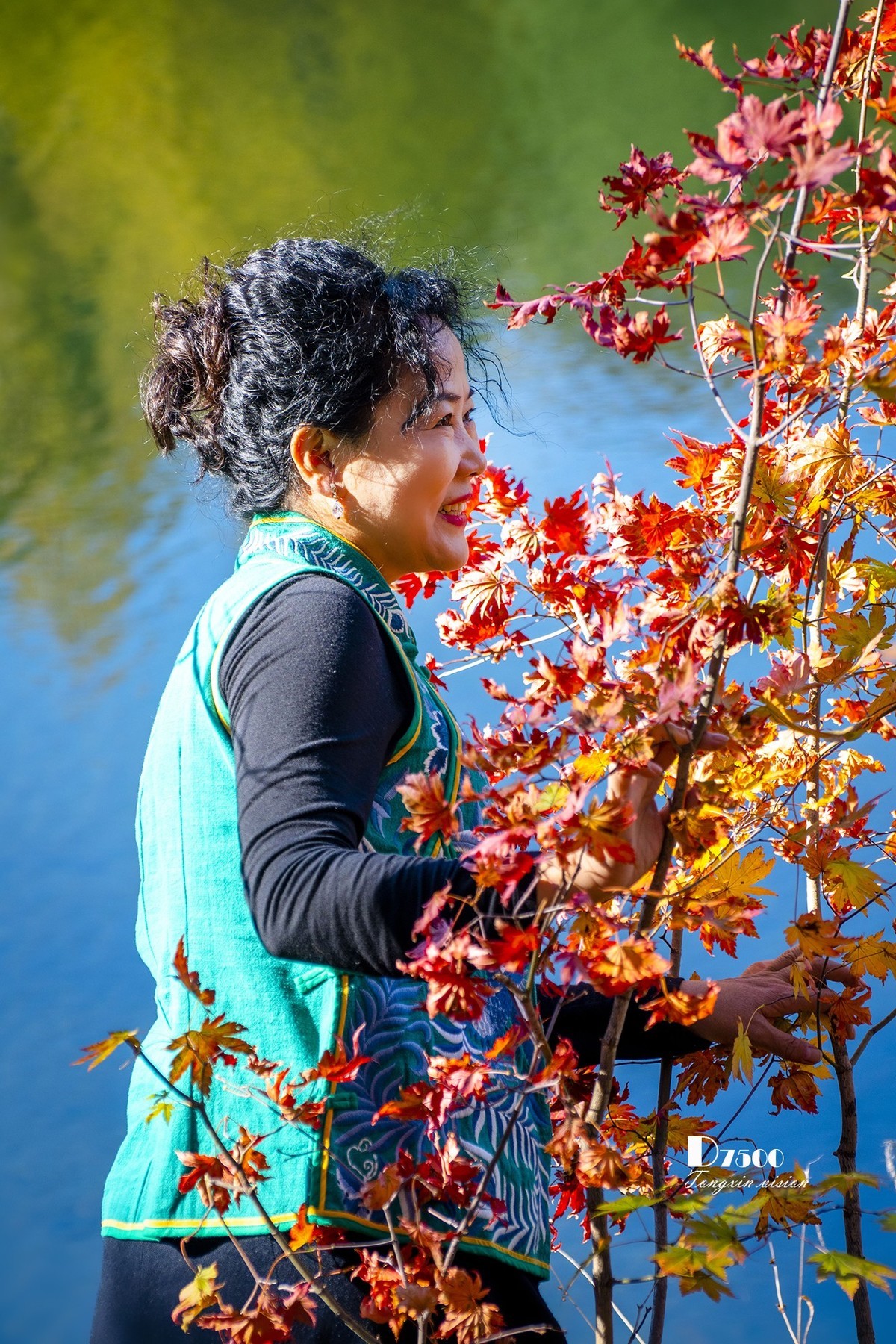 #留住美丽秋天# ——美在枫里