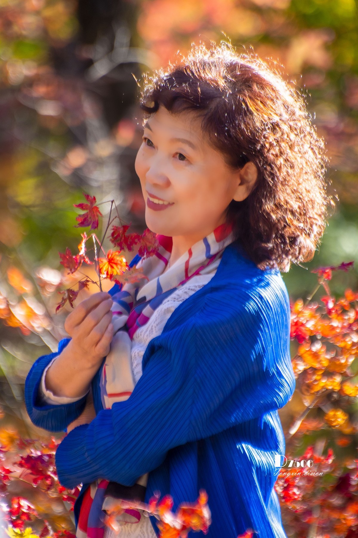 #留住美丽秋天# ——美在枫里