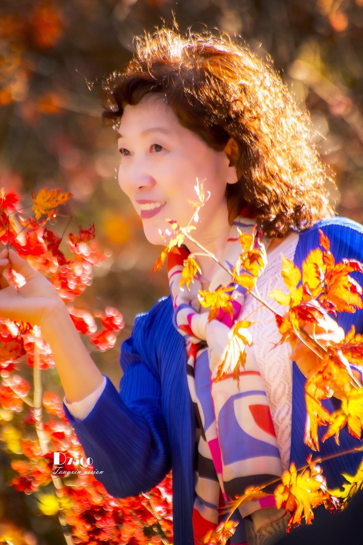 #留住美丽秋天# ——美在枫里