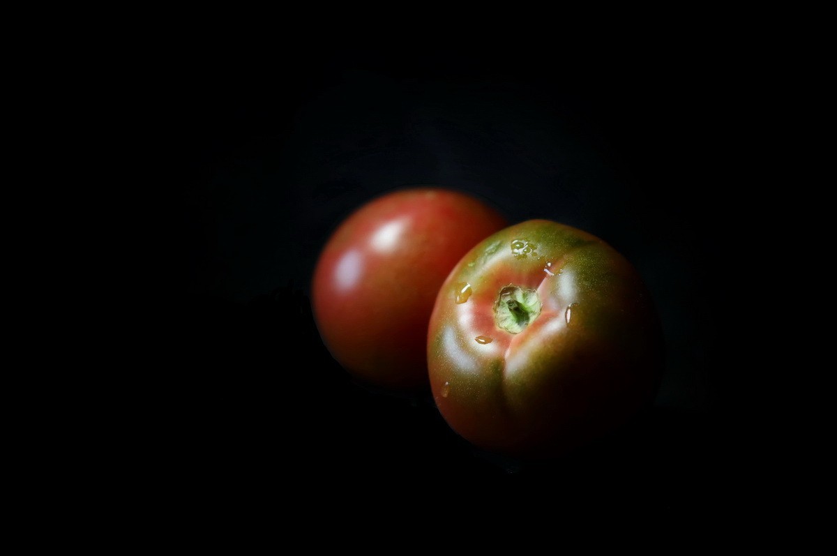 收藏了一支被停产的唯卓 AF 85mmf1.8 STM RF卡口镜头