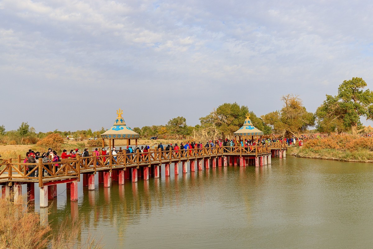 旅游记录：内蒙古 · 额济纳 · 弱水胡杨景区