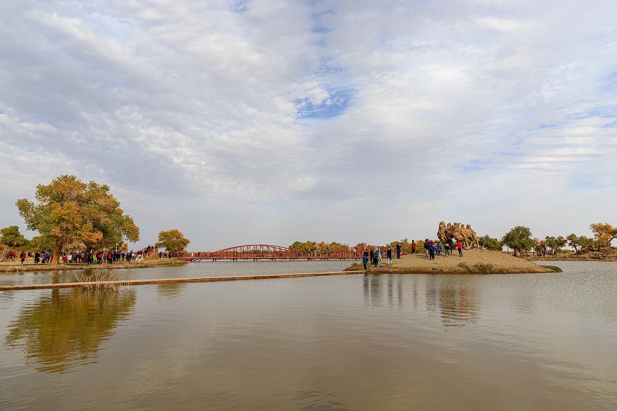 旅游记录：内蒙古 · 额济纳 · 弱水胡杨景区