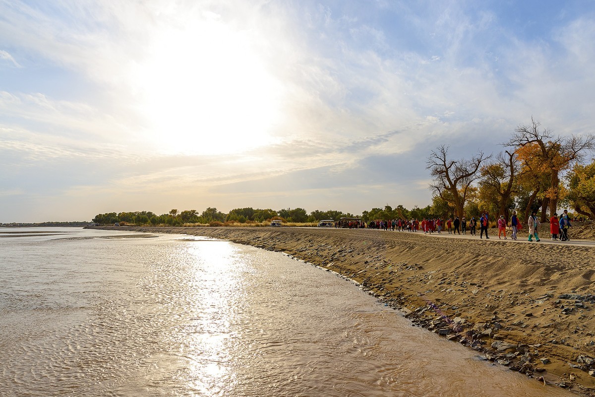 旅游记录：内蒙古 · 额济纳 · 弱水胡杨景区