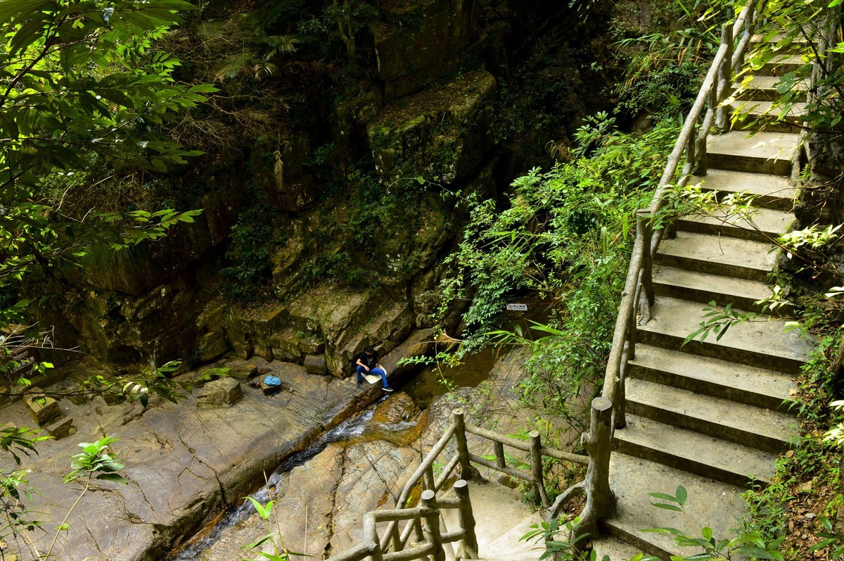 鼎湖山随拍（二）