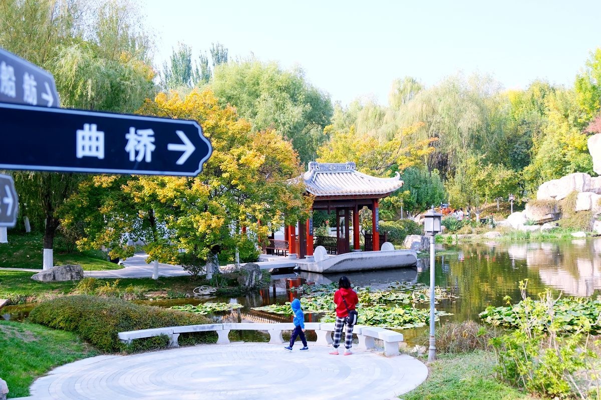 园博园秋【一】