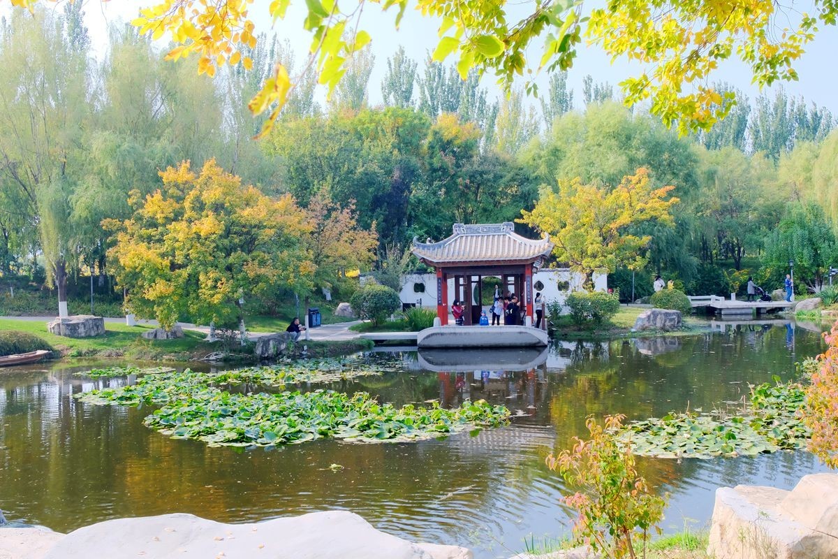 园博园秋【一】