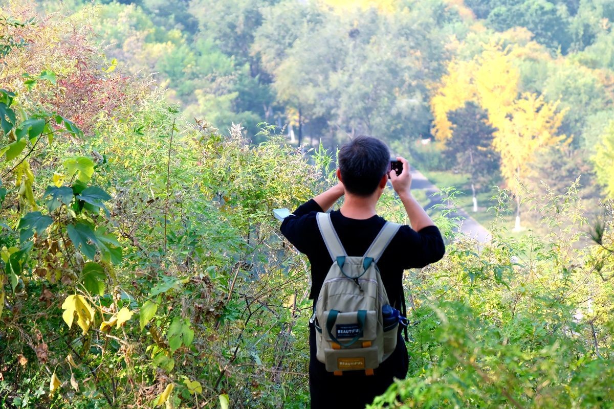 园博园秋【一】