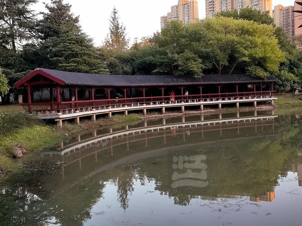 和风秋叶*堤角公园——武汉随笔