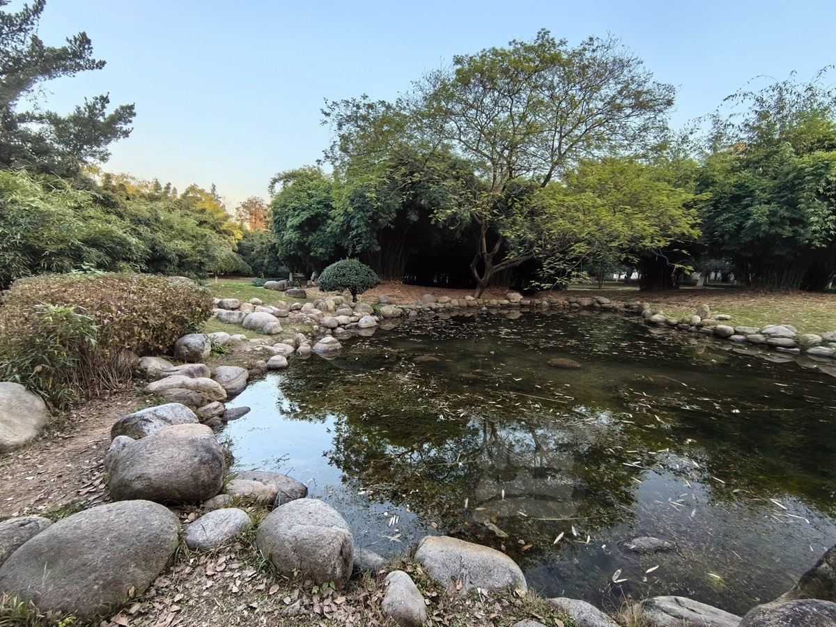 和风秋叶*堤角公园——武汉随笔