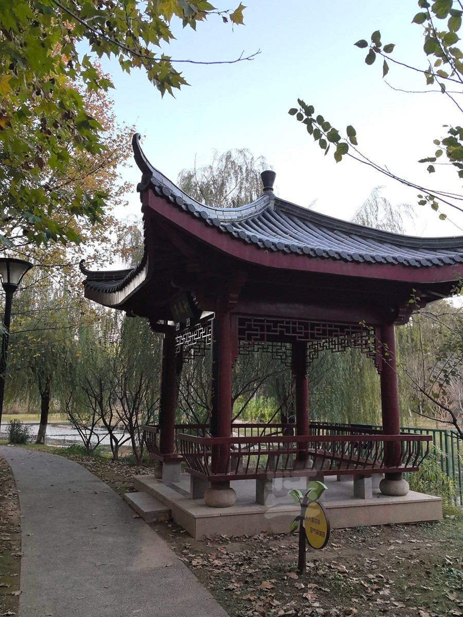 和风秋叶*堤角公园——武汉随笔