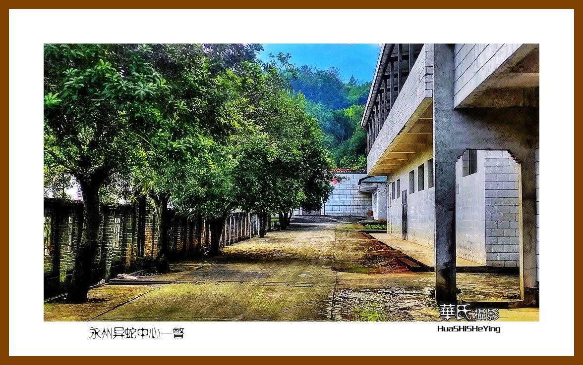 2021南行慢游（湖南105）——永州异蛇中心一瞥（永州市）