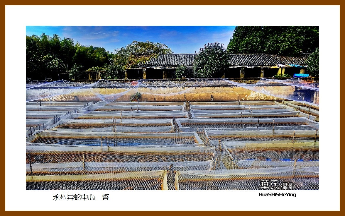 2021南行慢游（湖南105）——永州异蛇中心一瞥（永州市）