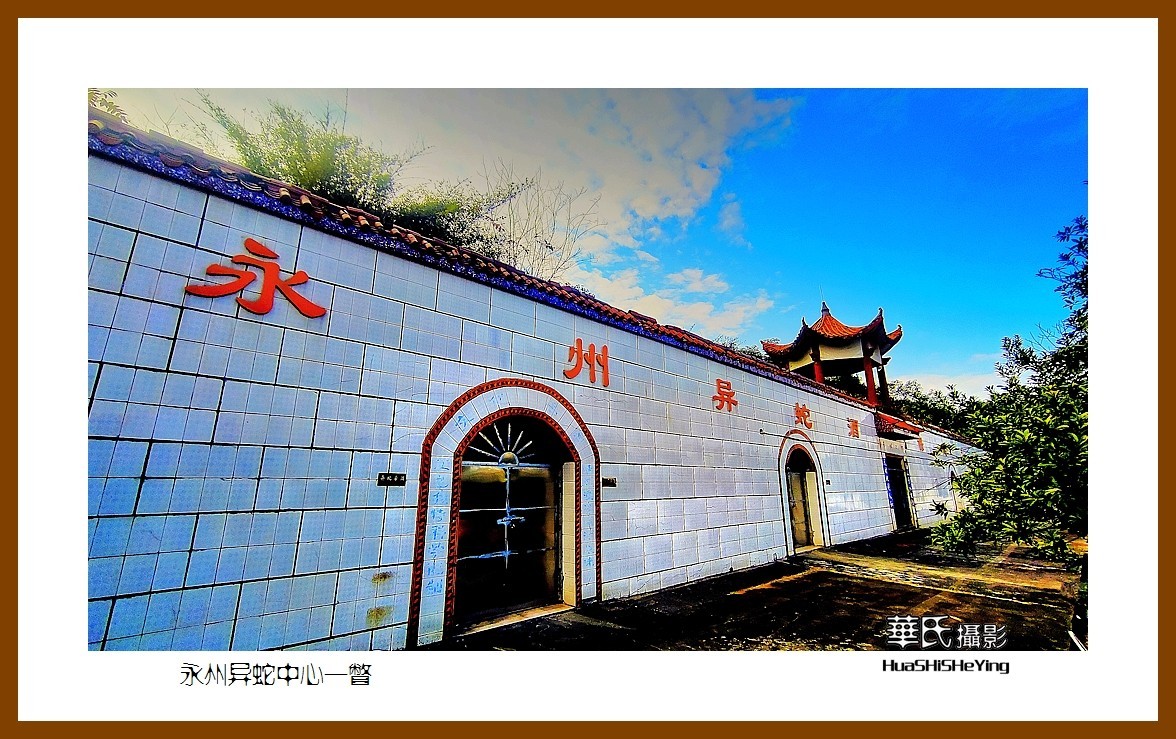 2021南行慢游（湖南105）——永州异蛇中心一瞥（永州市）