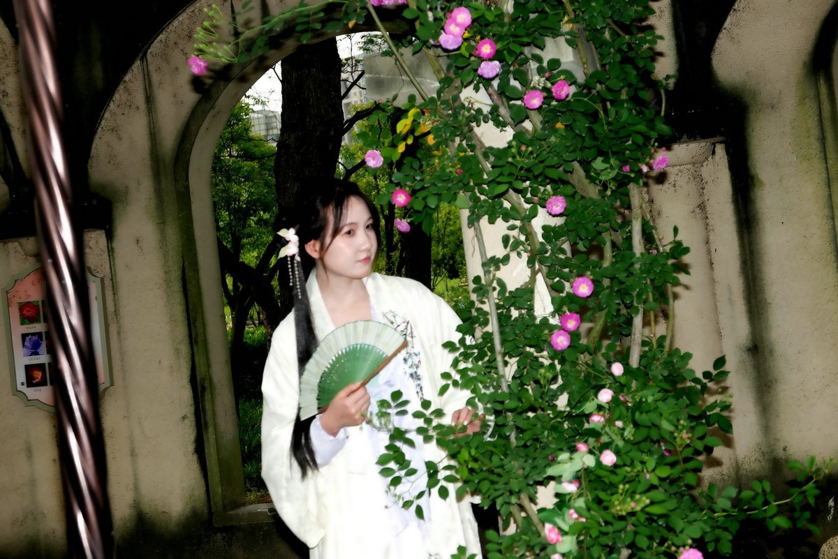 花园中的美女！