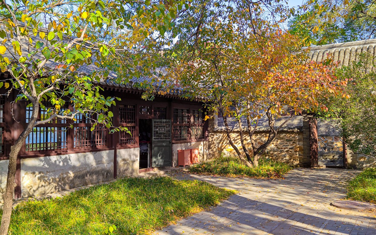 手机随拍20231026《288》