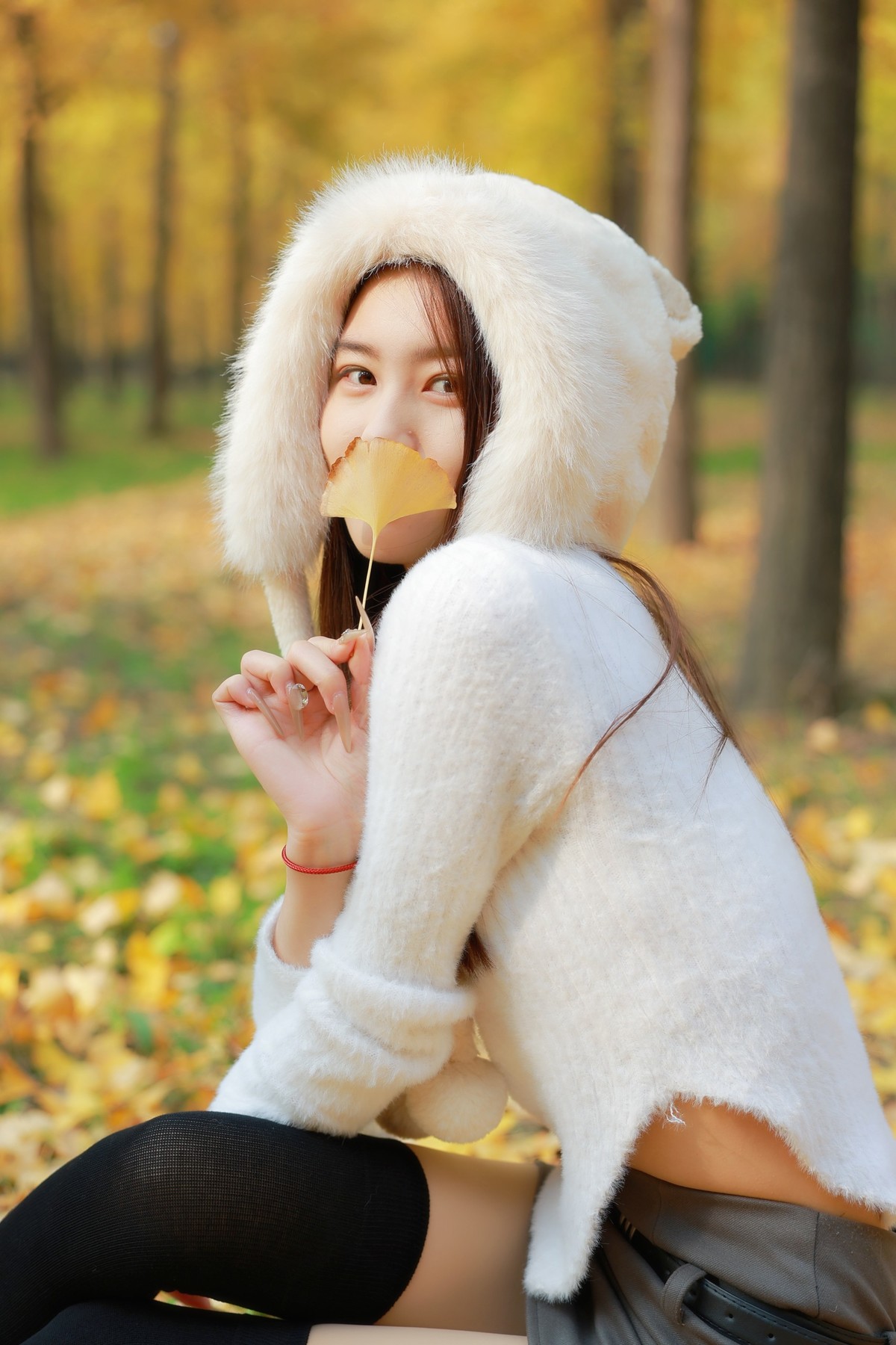 汉阳陵银杏林外拍