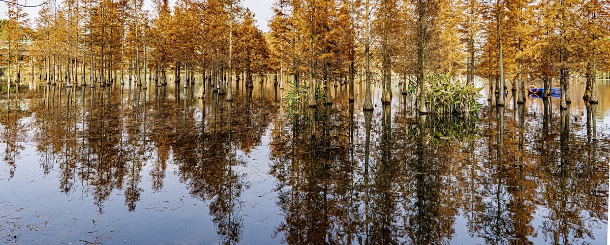 成都白鹭湾湿地公园【2】