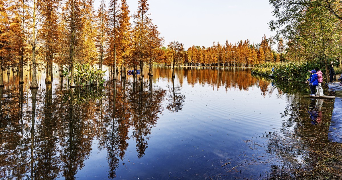 成都白鹭湾湿地公园【2】