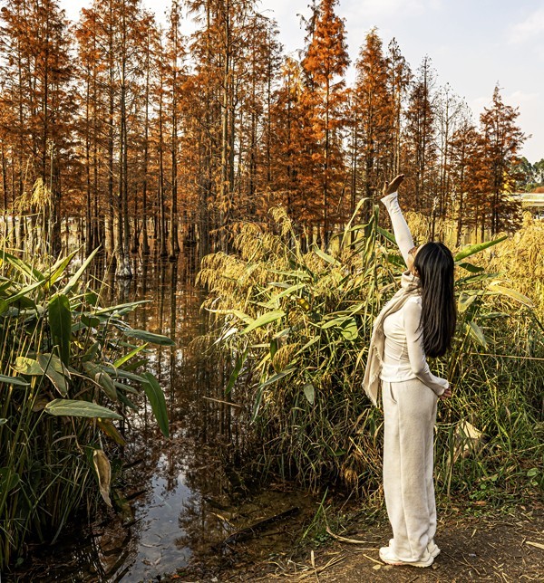 成都白鹭湾湿地公园【2】