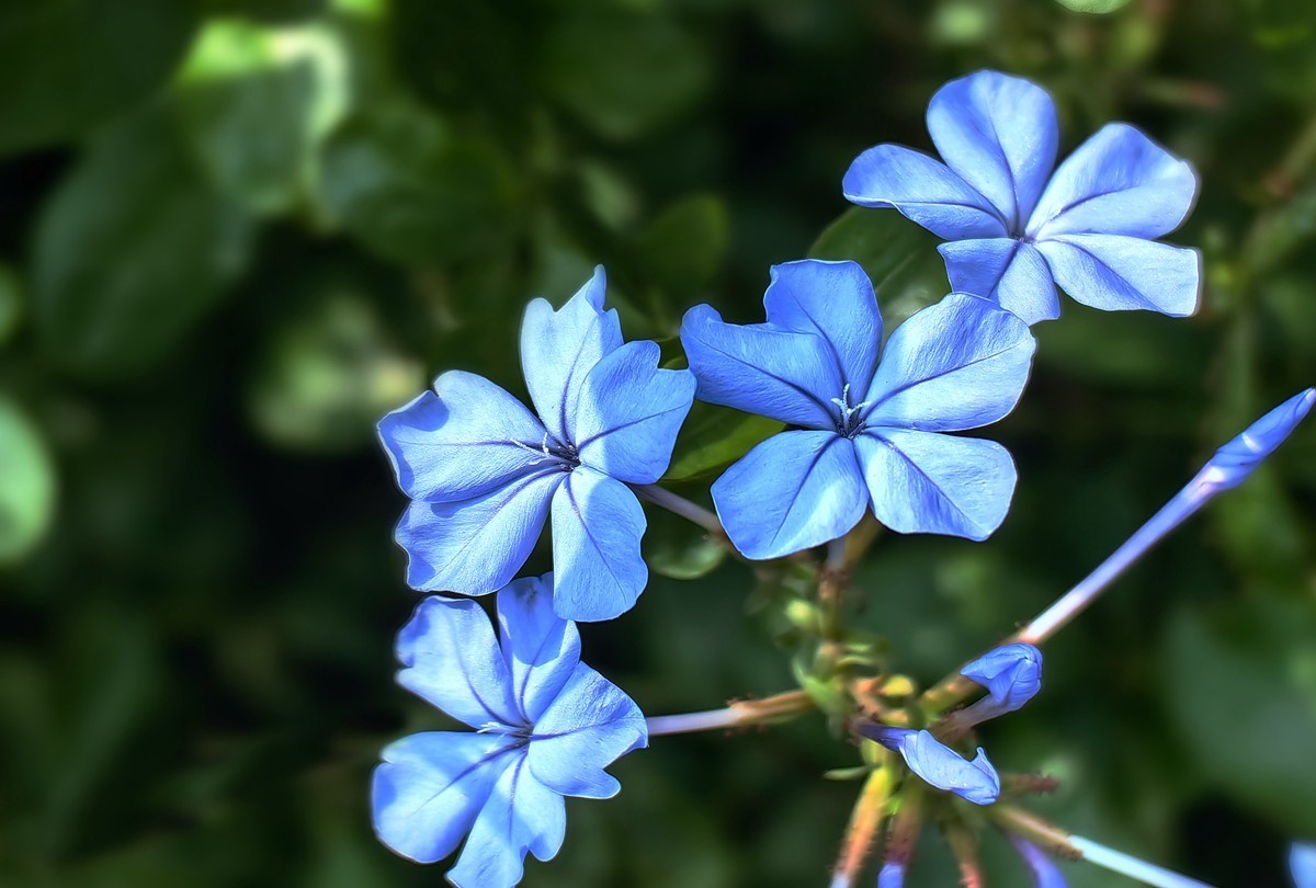 城市光影碎片之六十九