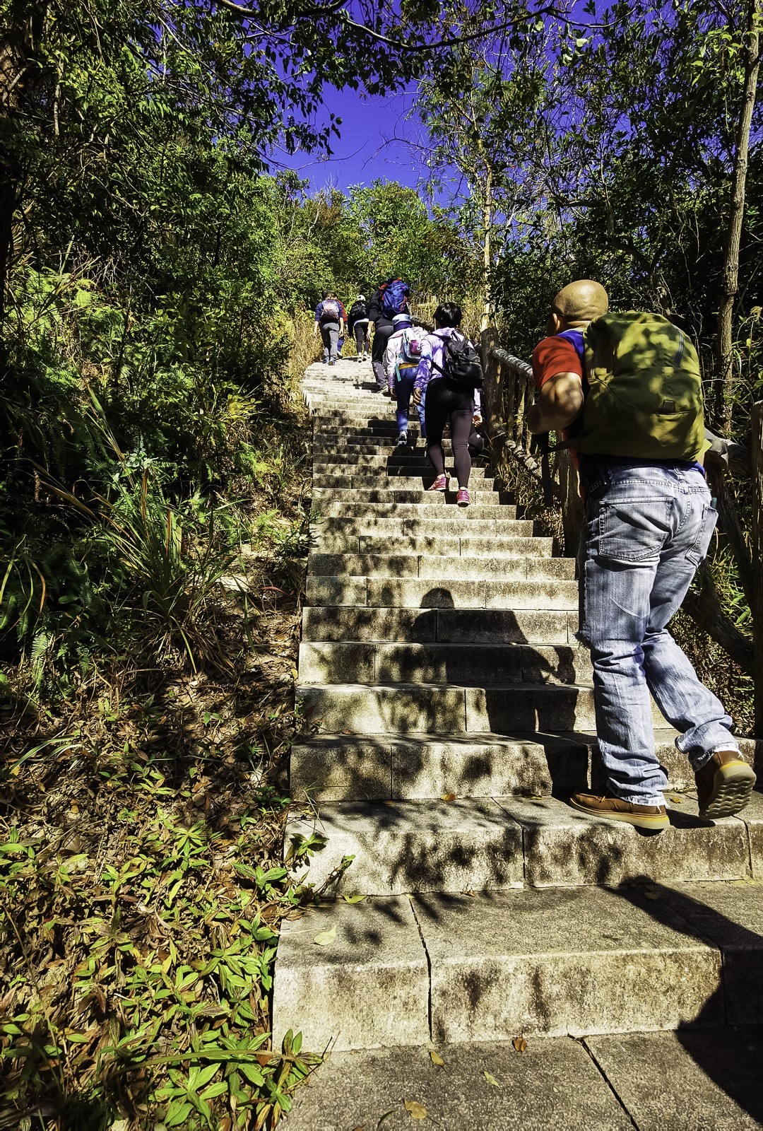 深圳马峦山 ~ 掠影