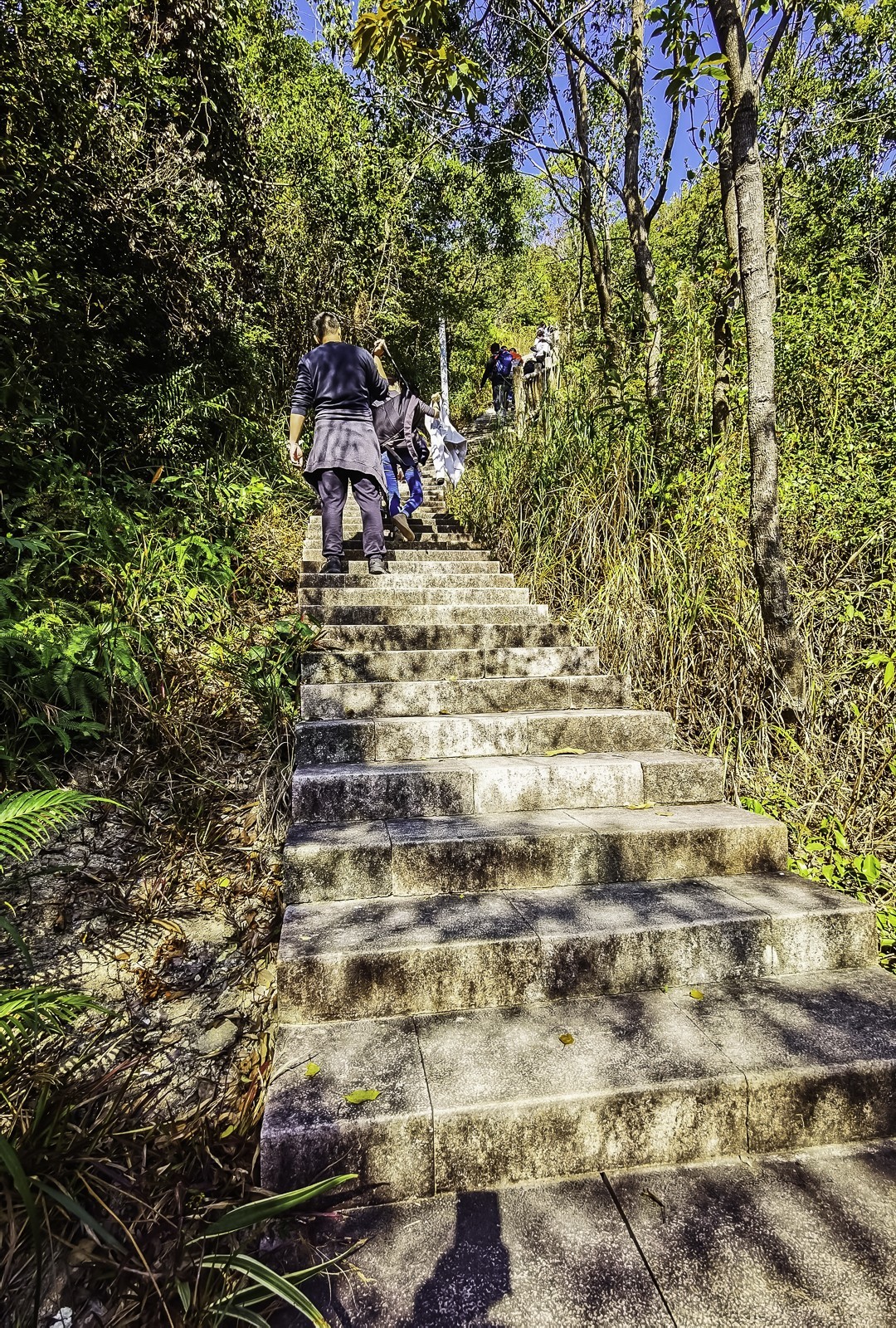 深圳马峦山 ~ 掠影