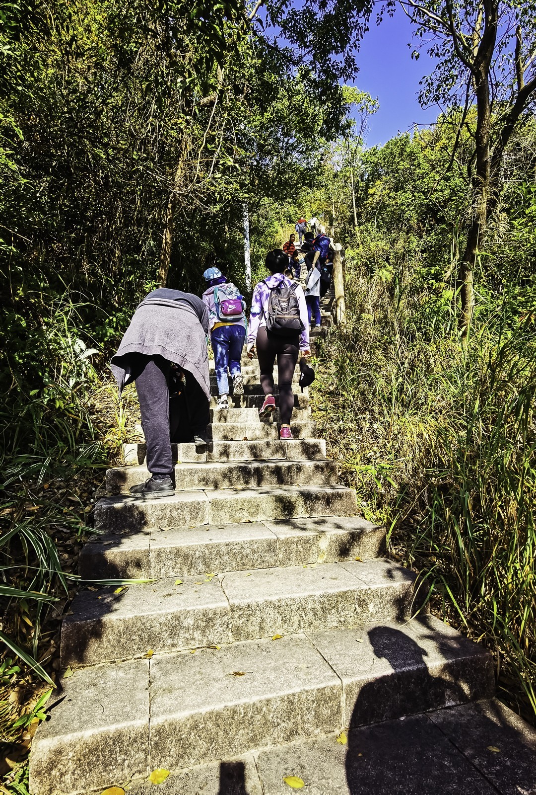 深圳马峦山 ~ 掠影