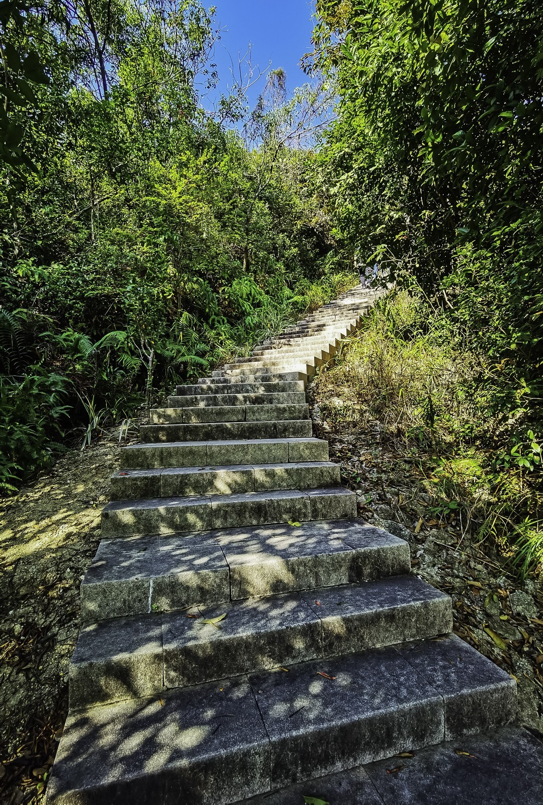 深圳马峦山 ~ 掠影