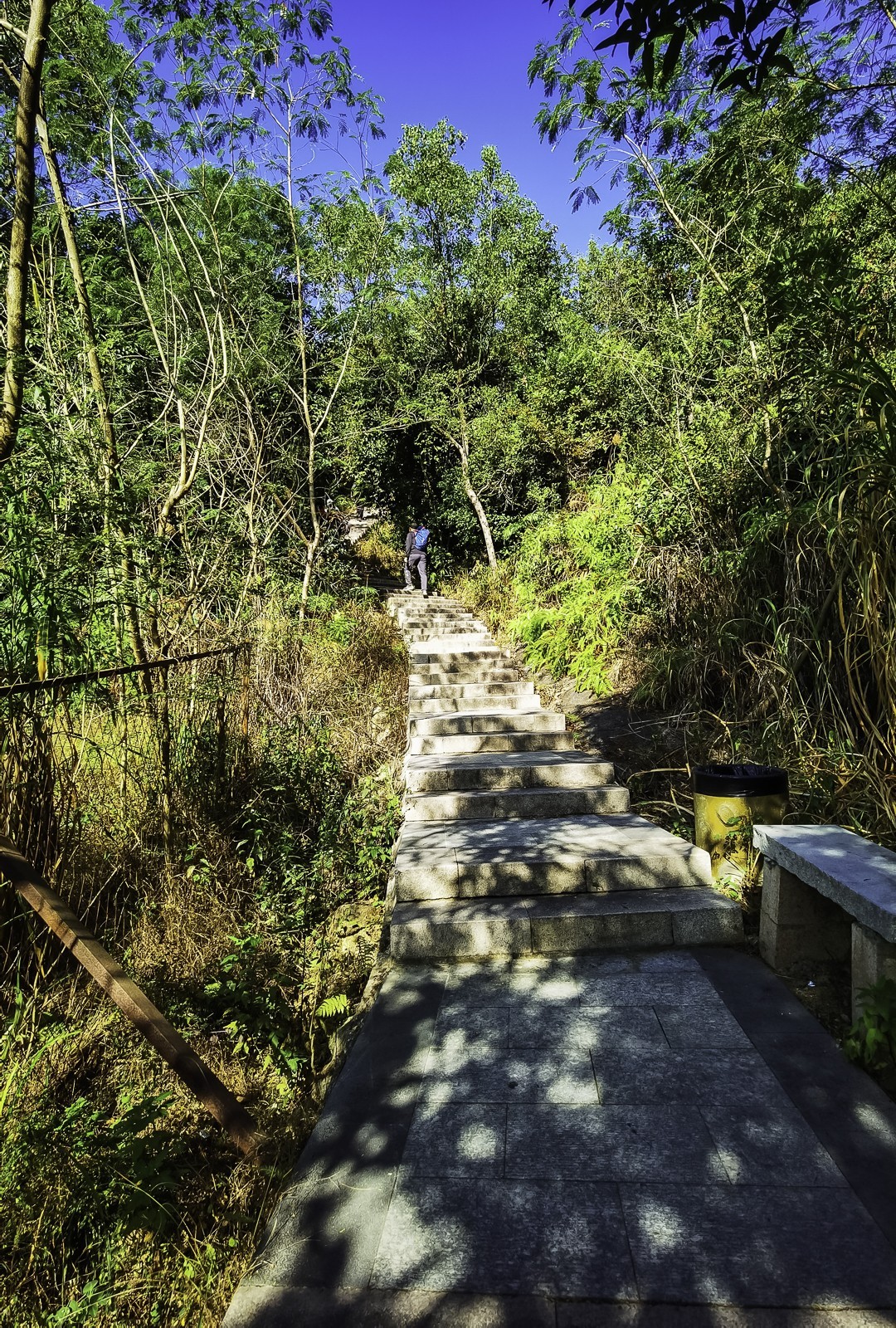 深圳马峦山 ~ 掠影