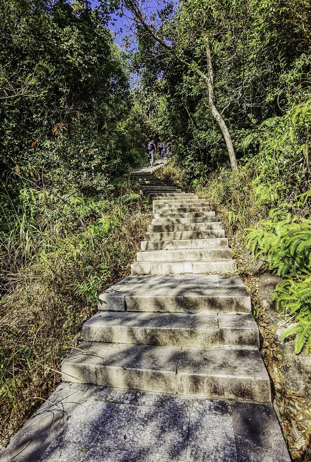 深圳马峦山 ~ 掠影