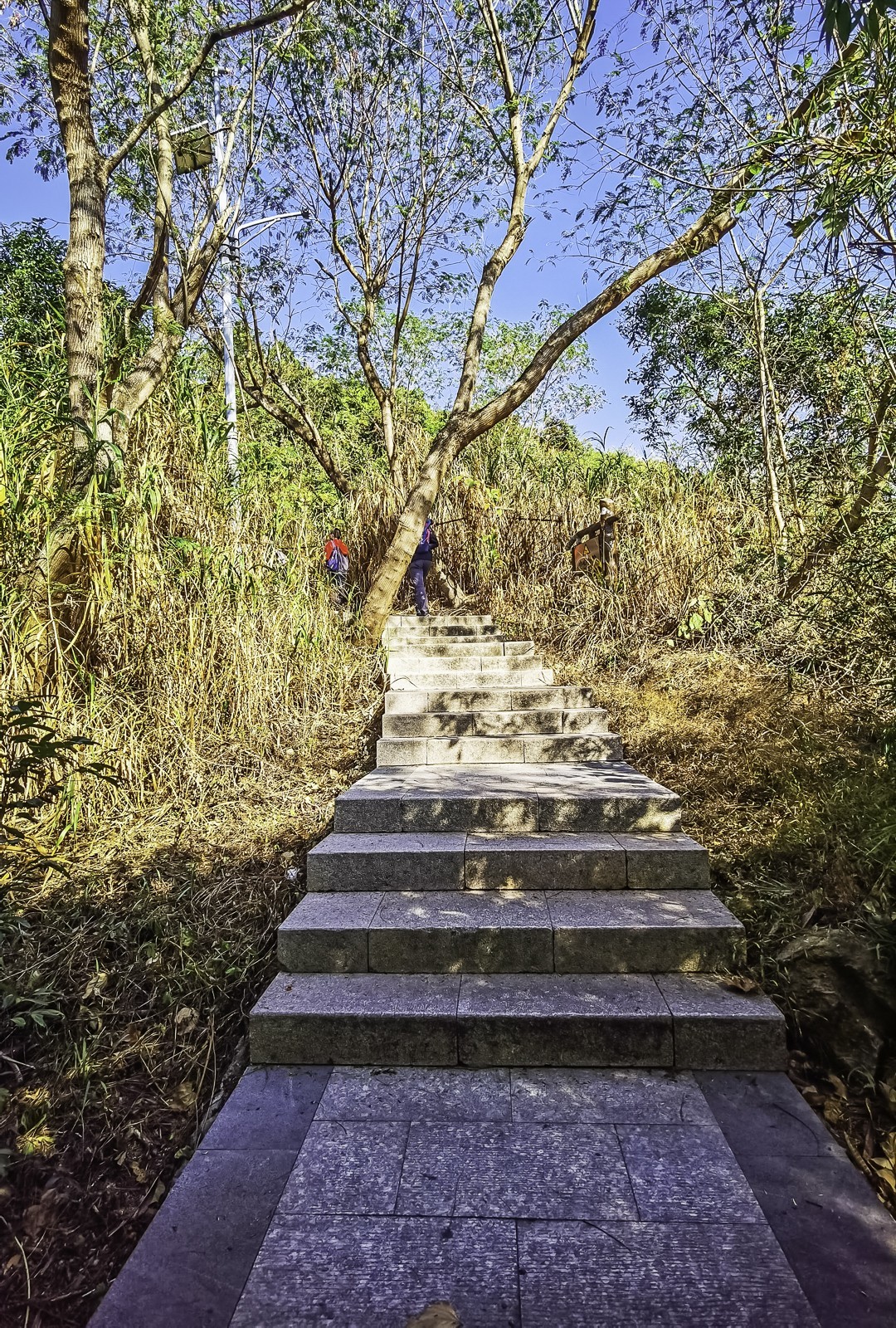 深圳马峦山 ~ 掠影