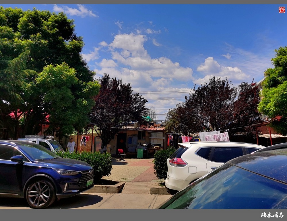 【手机随拍】天高云淡 秋高气爽