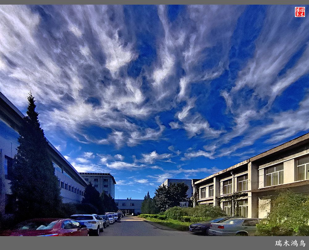 【手机随拍】天高云淡 秋高气爽