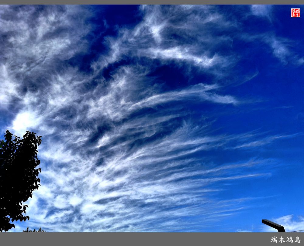 【手机随拍】天高云淡 秋高气爽