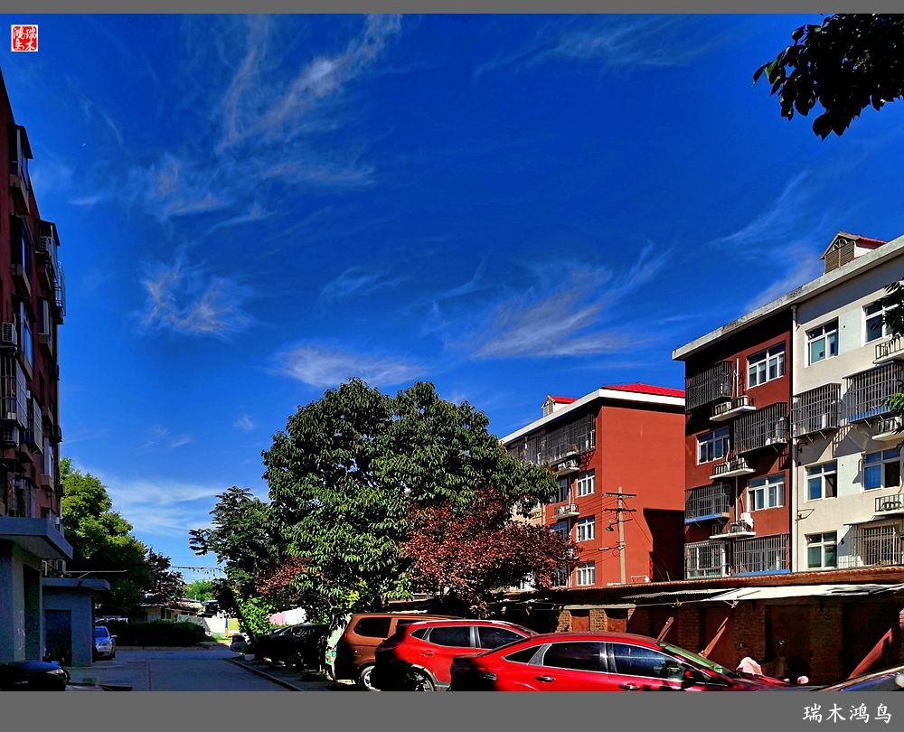 【手机随拍】天高云淡 秋高气爽