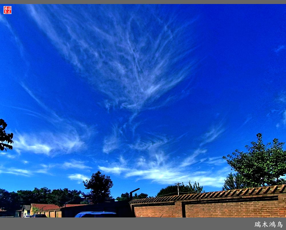 【手机随拍】天高云淡 秋高气爽