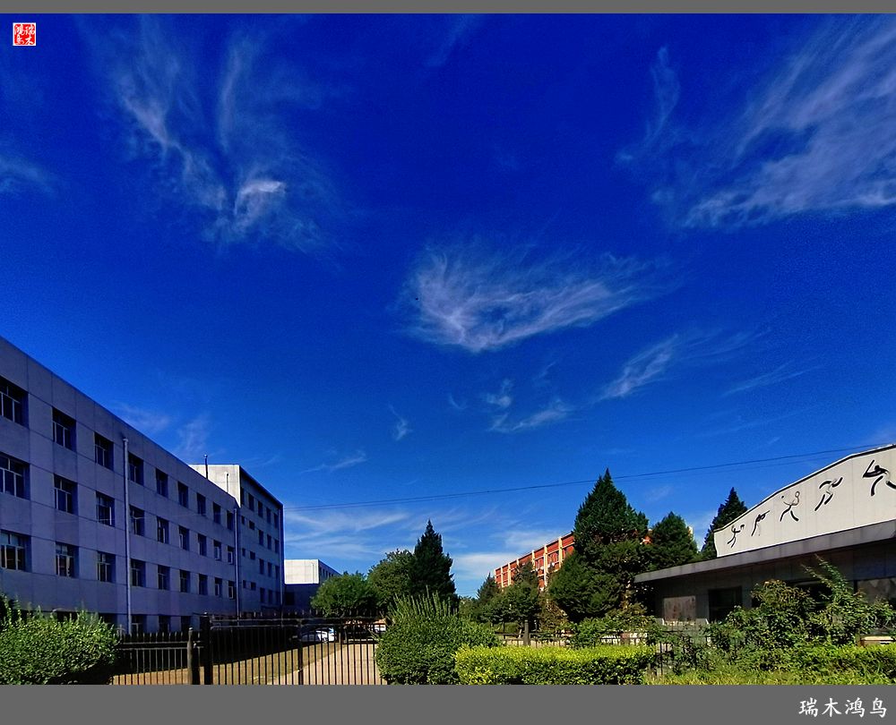 【手机随拍】天高云淡 秋高气爽