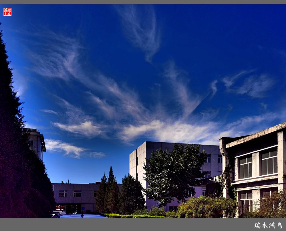 【手机随拍】天高云淡 秋高气爽