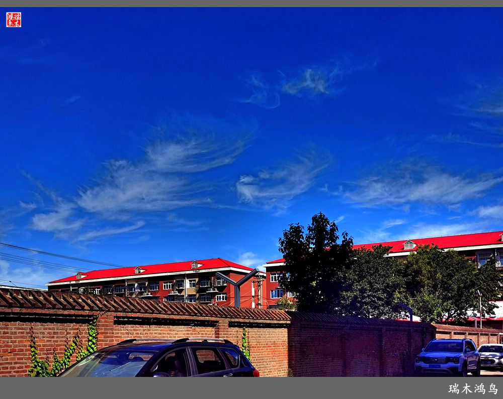 【手机随拍】天高云淡 秋高气爽